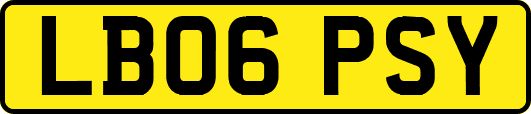 LB06PSY