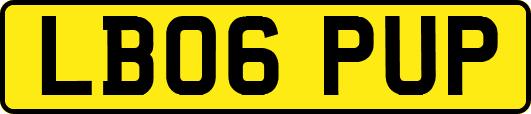 LB06PUP