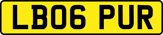 LB06PUR