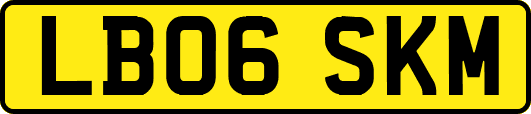 LB06SKM