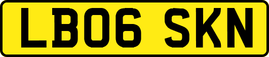 LB06SKN