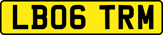 LB06TRM
