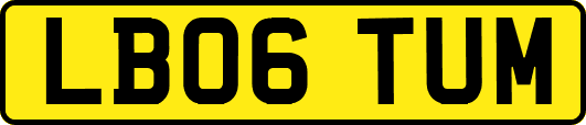 LB06TUM