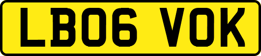 LB06VOK