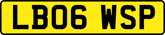 LB06WSP