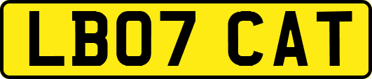 LB07CAT