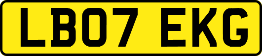 LB07EKG