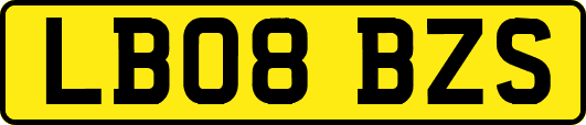 LB08BZS