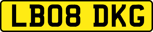LB08DKG