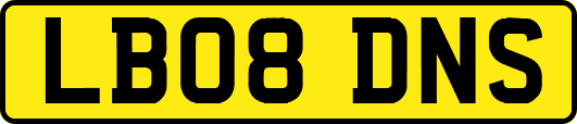 LB08DNS