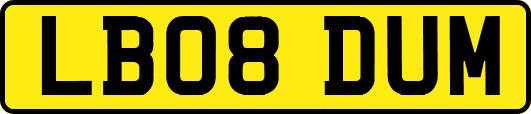 LB08DUM