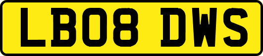 LB08DWS