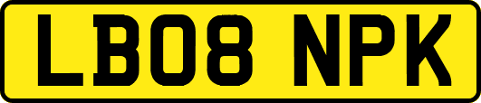 LB08NPK