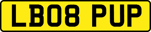 LB08PUP