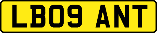 LB09ANT