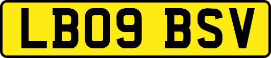 LB09BSV