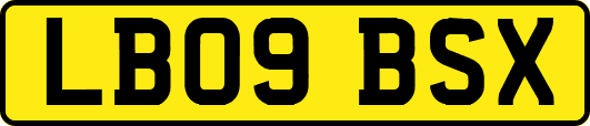 LB09BSX