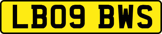 LB09BWS