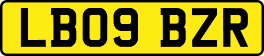 LB09BZR