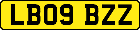 LB09BZZ