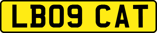 LB09CAT