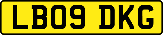 LB09DKG