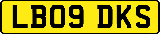LB09DKS