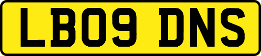 LB09DNS