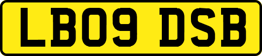 LB09DSB