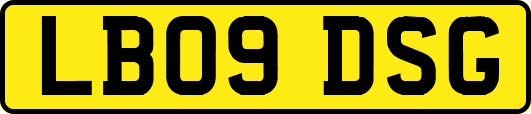 LB09DSG