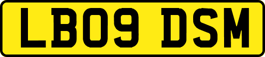 LB09DSM