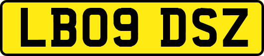 LB09DSZ