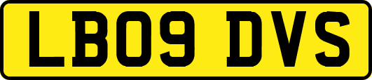 LB09DVS