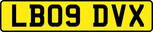LB09DVX