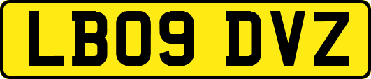 LB09DVZ