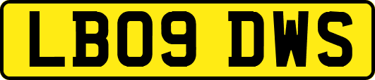 LB09DWS