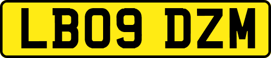 LB09DZM