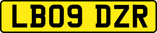 LB09DZR