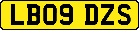 LB09DZS