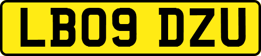 LB09DZU