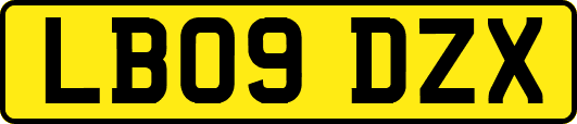 LB09DZX