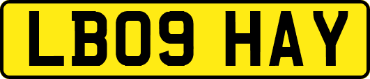 LB09HAY