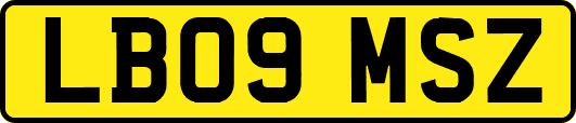 LB09MSZ