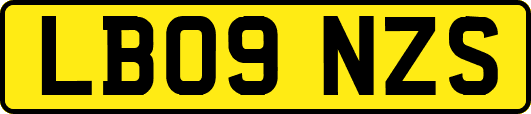 LB09NZS