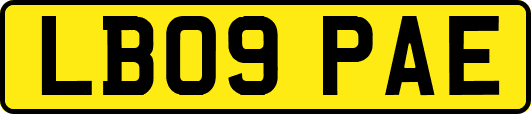 LB09PAE