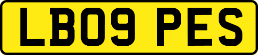 LB09PES
