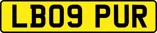 LB09PUR