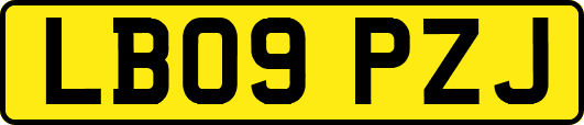 LB09PZJ