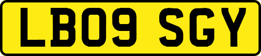 LB09SGY