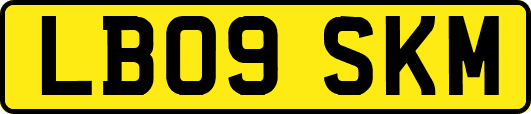 LB09SKM
